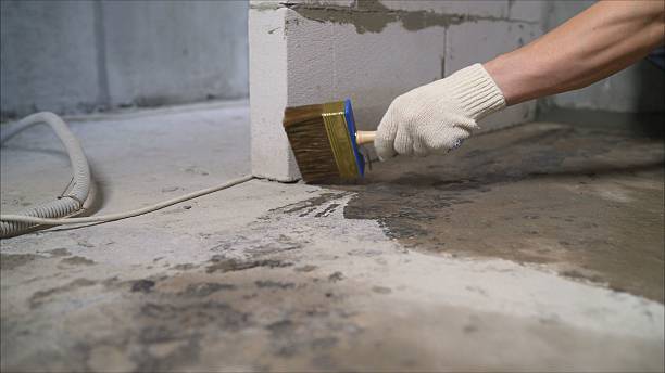 24/7 Emergency Interior Drainage System experts in Roselle, IL